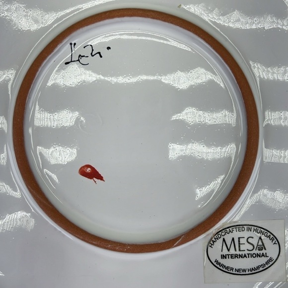 Mesa International Dish - Picture 8 of 9